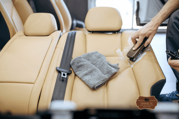 Leather Care and Protection
